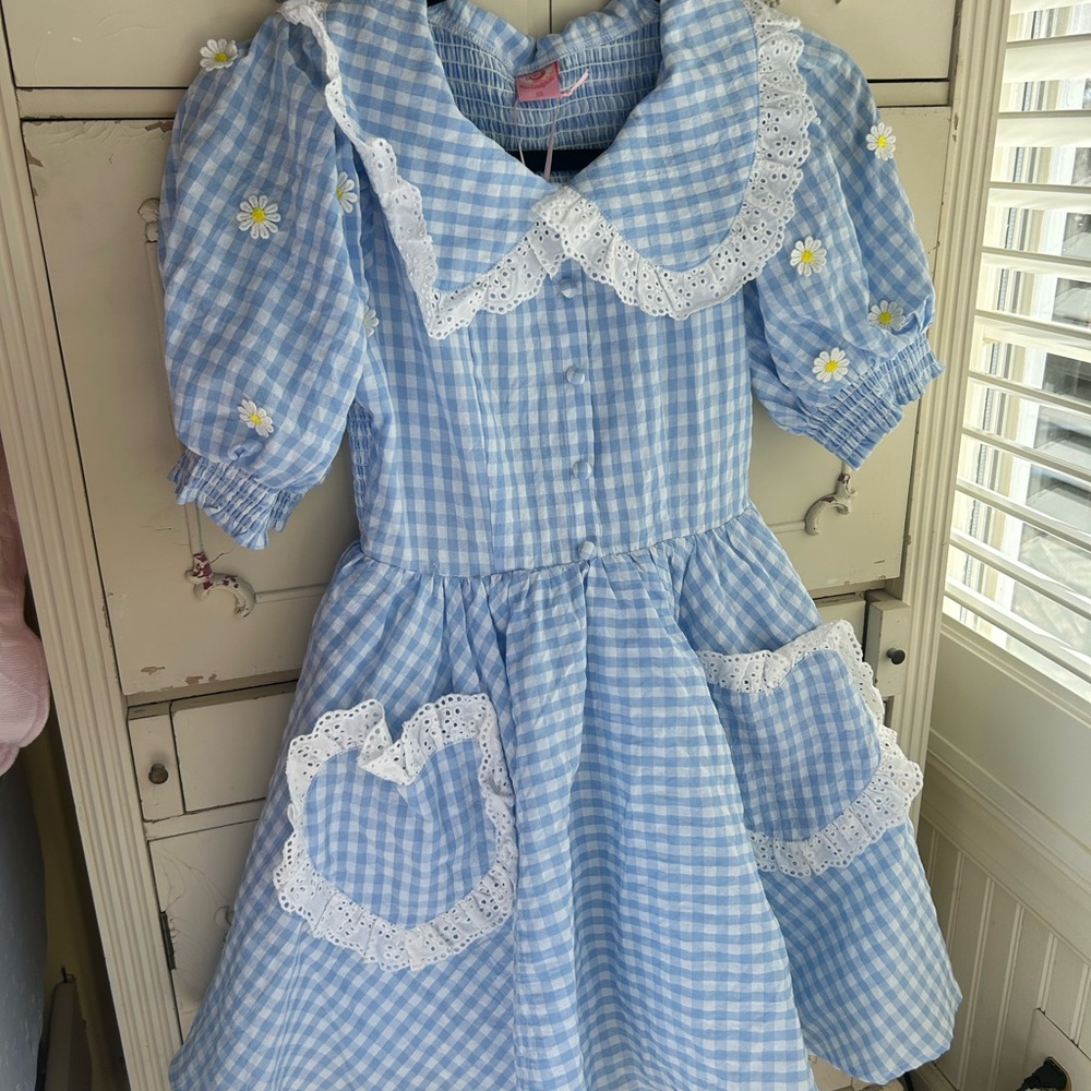 blue gingham eyelet dress
